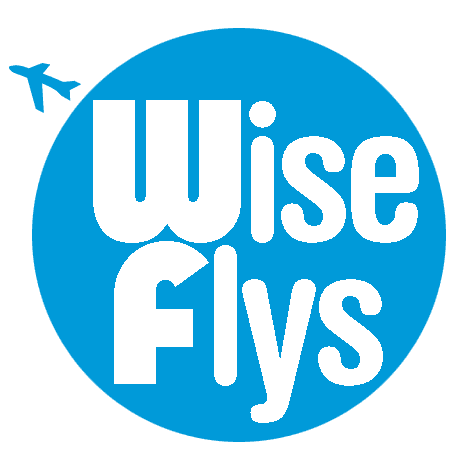 Wise Flys